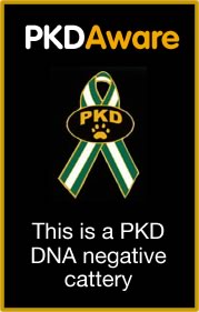 PKD DNA negative tested cattery