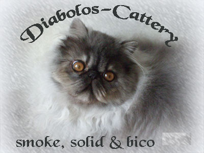 Cattery Diabolos