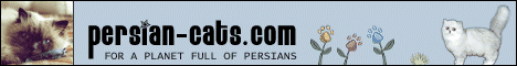 Persian-Cats