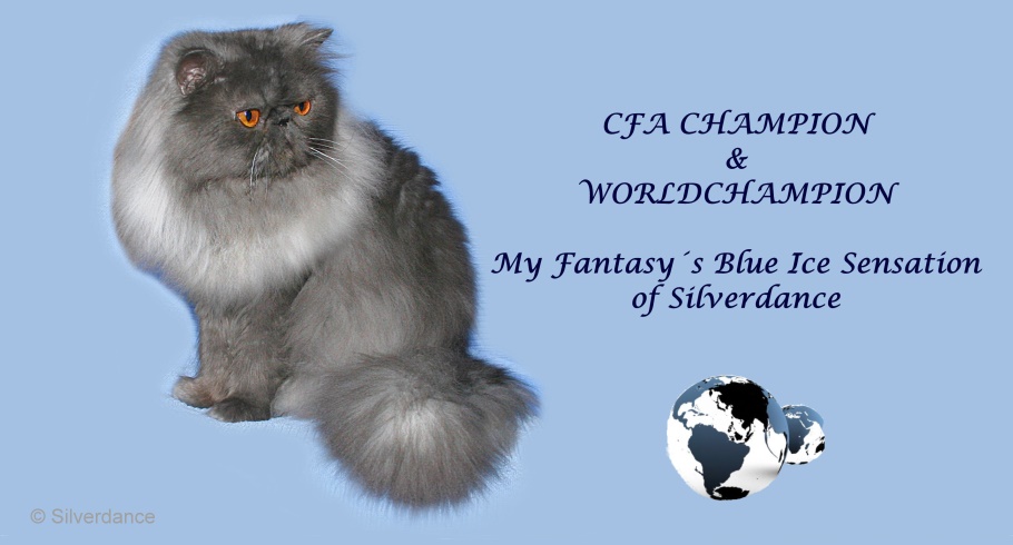 CFA CH/World CH My Fantasy´s Blue Ice Sensation of Silverdance