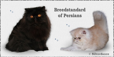 Breedstandard of Persians