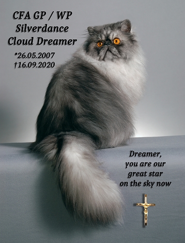 CFA GP Silverdance Cloud Dreamer