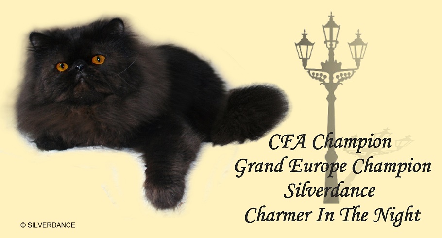 CFA CH/GEC Silverdance Charmer In The Night