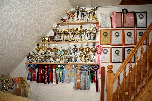 small selection of cups