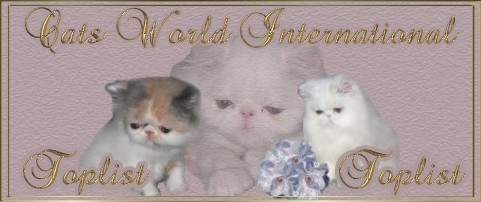 Cats World International Toplist