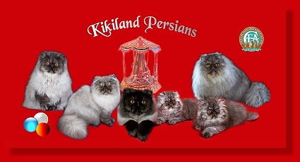 Kikiland Persians
