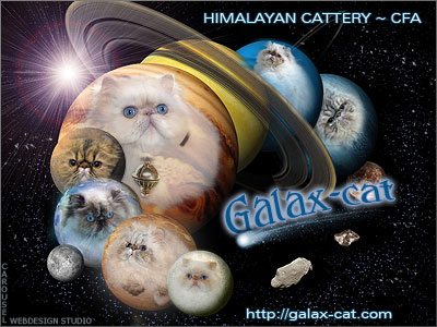 Cattery Galax-Cat