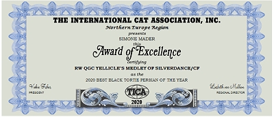 TICA RW, QGC/IC Yellicle's Medley of Silverdance
