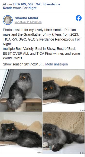 TICA RW, SGC/WC Silverdance Rendezvous For Night