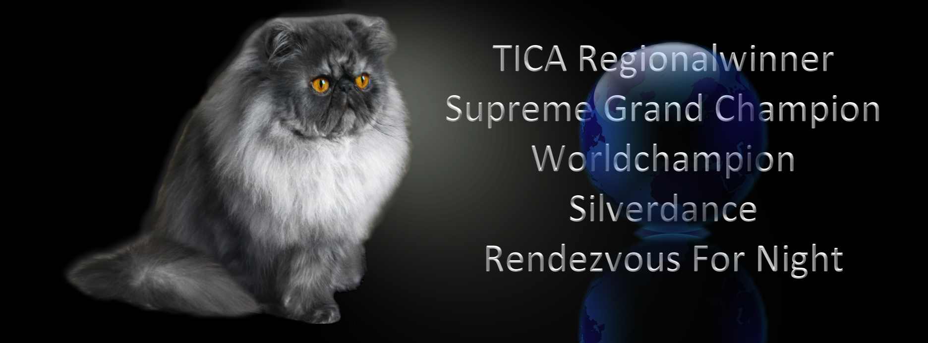 TICA RW, SGC/WC Silverdance REndezvous For Night