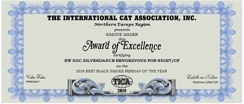 TICA RW, SGC/EC Silverdance Rendezvous For Night