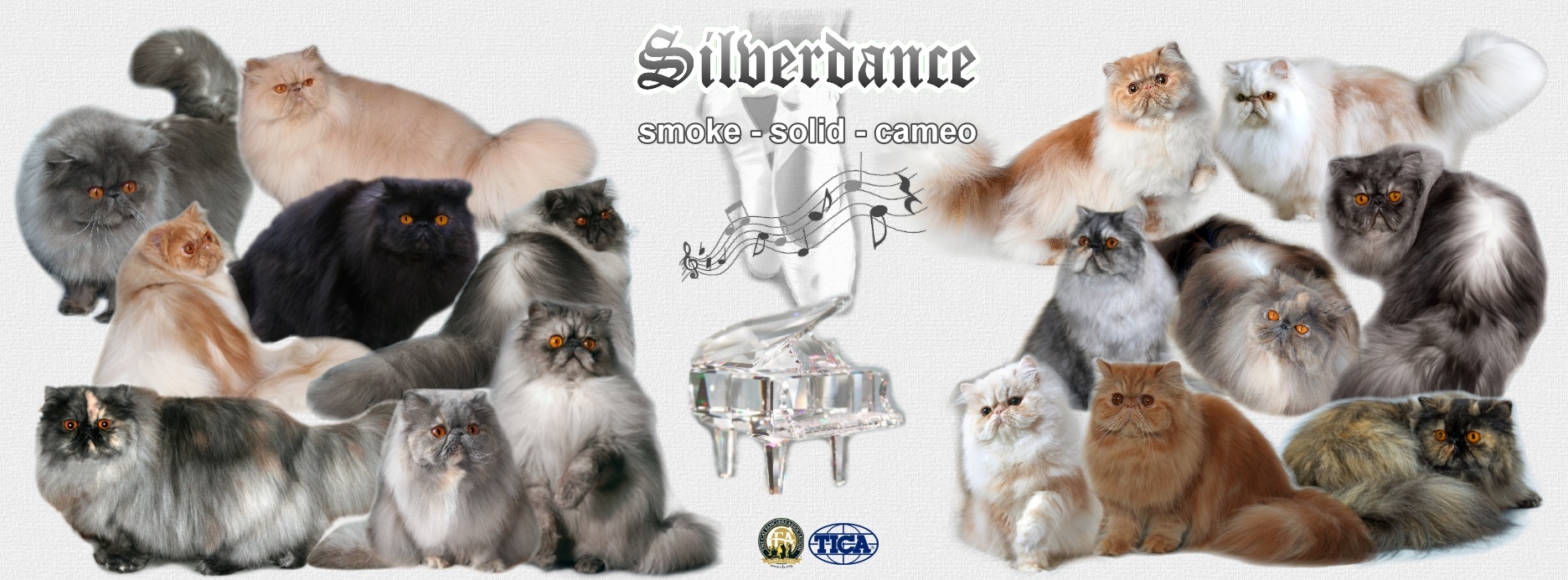 Silverdance Persians - CFA cattery for smoke persians & solid persians