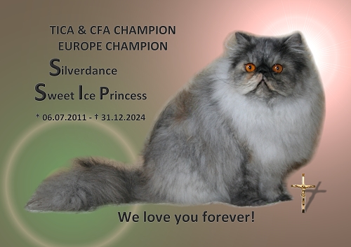 CFA CH & TICA CH/EC Silverdance Sweet Ice Princess