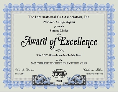 TICA RW, SGC/IC Silverdance Ice Teddy Bear