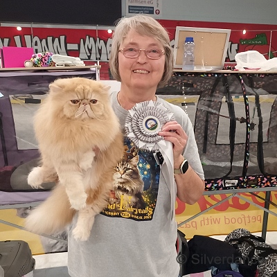 TICA RW SGC/WC Silverdance Ice Teddy Bear