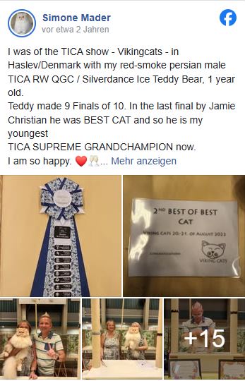 TICA RW SGC/GEC Silverdance Ice Teddy Bear