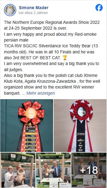 TICA RW SGC/GEC Silverdance Ice Teddy Bear