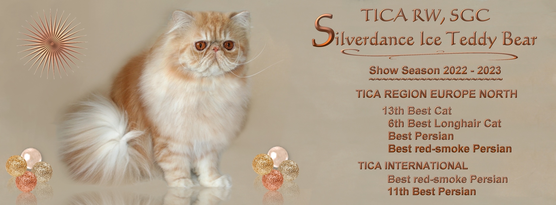 Silverdance Persians - CFA & TICA cattery for smoke Persians & solid Persians & cameo Persians