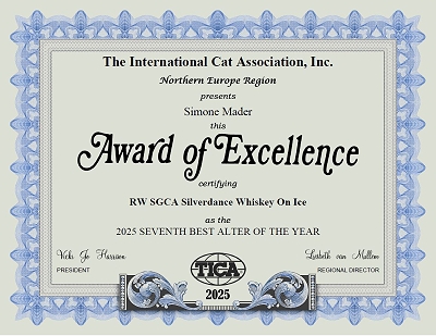 TICA RW SGCA Silverdance Whiskey On Ice
