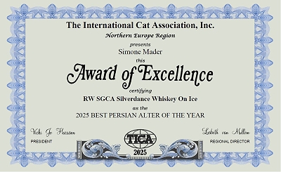 TICA RW SGCA Silverdance Whiskey On Ice