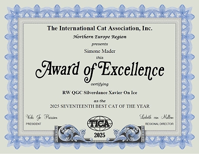TICA Double RW, QGC/EC Silverdance Xavier On Ice