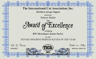 TICA Double RW, QGC/EC Silverdance Xavier On Ice