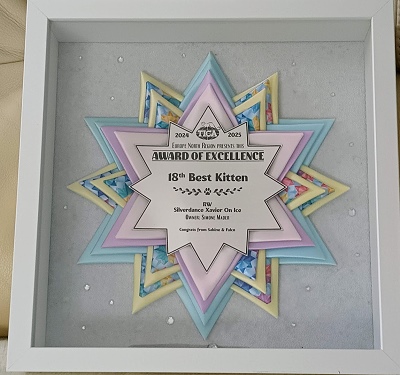 TICA RW QGC / EC Silverdance Xavier On Ice