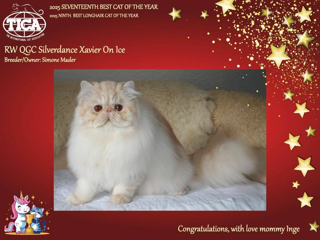 TICA RW QGC / EC Silverdance Xavier On Ice